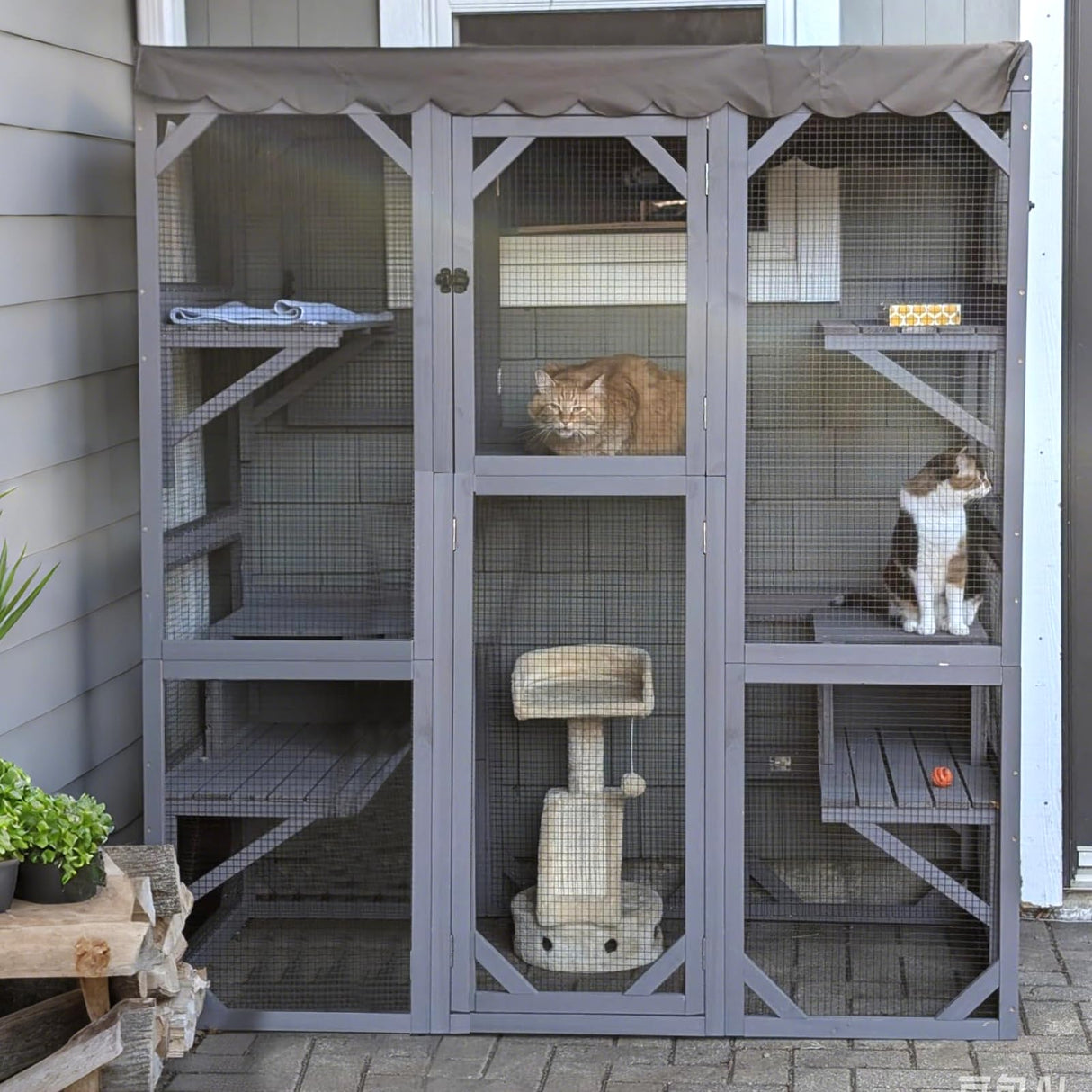 Catio Outdoor Cat Encolsure 71" Large Cat House Window Catio Walk in Kitty Shlter with Resting Box,Upgrade Waterproof Cover GUTINNEEN