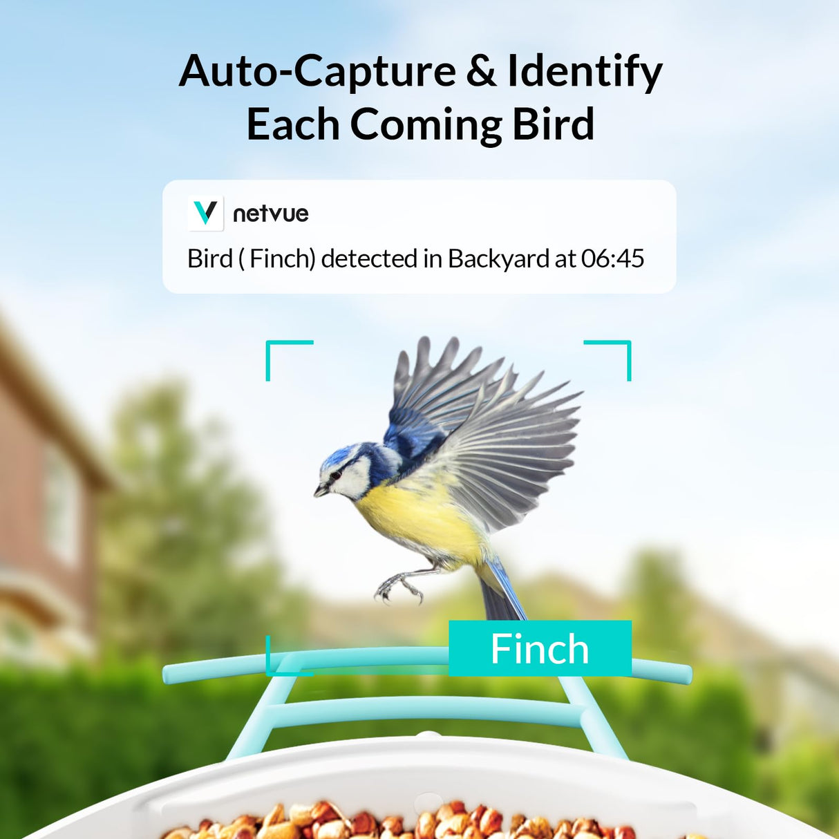 NETVUE Birdfy Smart Bird Feeder with Camera - Auto Capture & Identify 6000+ Species, Free AI Forever, Ideal Gift for Birdwatching and Bird Lovers NETVUE