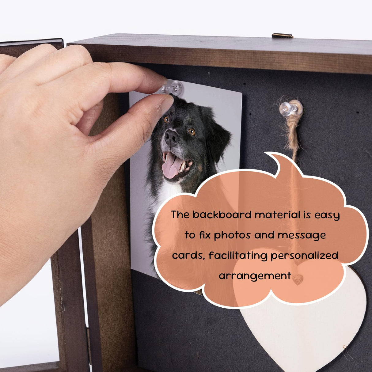 8.6'' Pet Memorial Shadow Box, Customizable Display Case for Dog Cat, Paw Print Hair Preservation, Picture Frame with Paw Print Kit Ashes Fur Jar as Pet Loss Sympathy Gift DigNew