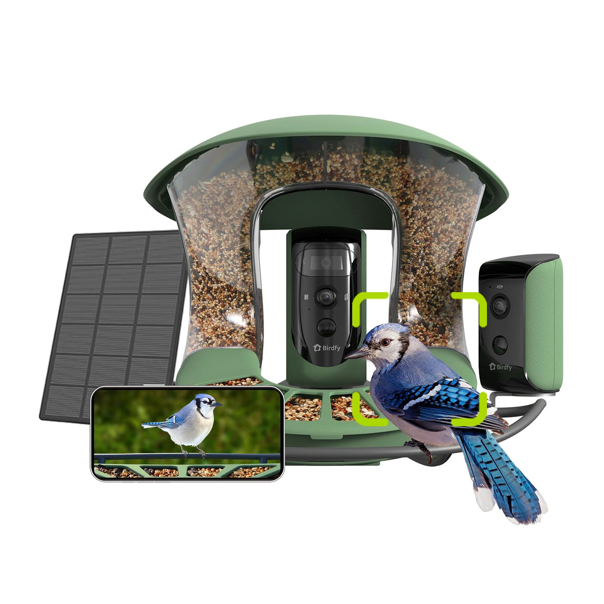 Birdfy 2 Smart Bird Feeder 3 Lenses & 2 Cameras, Dual Angles, Solar-Powered, Wireless Birdwatching, Permanent AI Identify 6000+ Bird Species & Motion Detection, Gift Present Birdfy