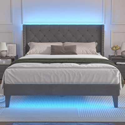 Lihimte Queen Size Bed Frame with Led Lights, Upholstered Velvet Platform Bed Frames with Button Tufted Wingback Headboard and Footboard, Wooden Slats Support, No Box Spring Needed, Dark Grey
