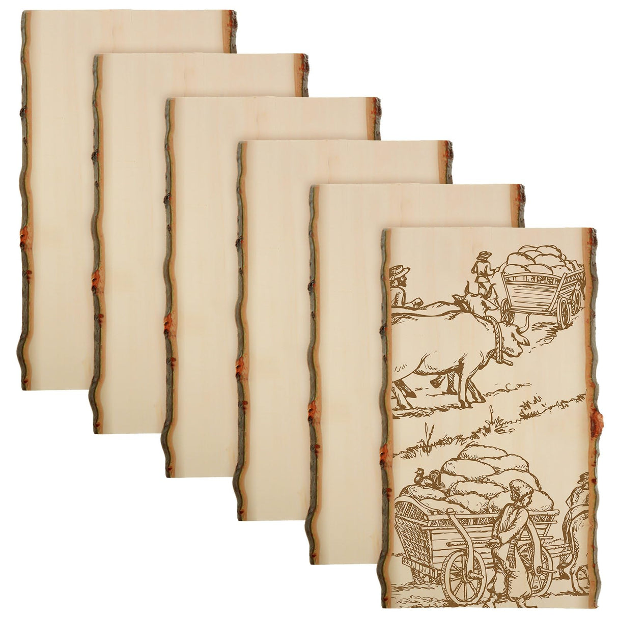 Briwooody 6 Pcs Hollow Wood Plank Live Edge Woodslab Unfinished Wood Boards for Crafts Rustic Wooden Plaque for DIY Burning Home Decor Weddings(11 x 7-9 Inch) Briwooody