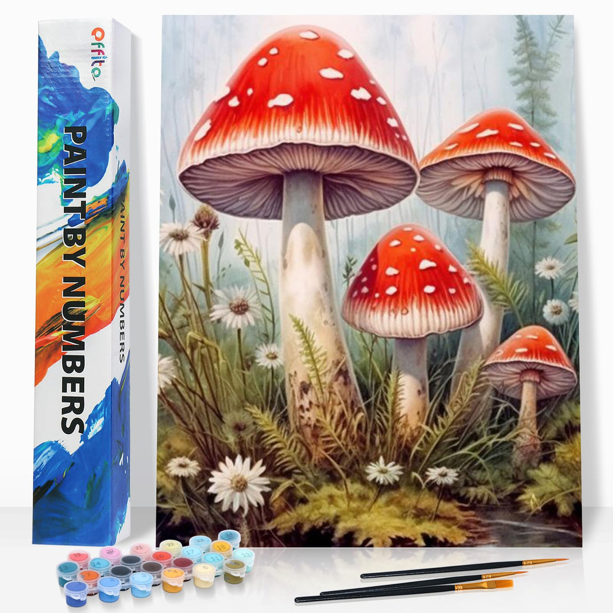 Paint by Numbers Kit for Adults Rolled Canvas - 16x20 Inch Mushroom Adult Paint by Number Kits on Canvas for Beginners, DIY Mushroom Acrylic Oil Number Painting Kits with Gift Box for Decor Gift Offito