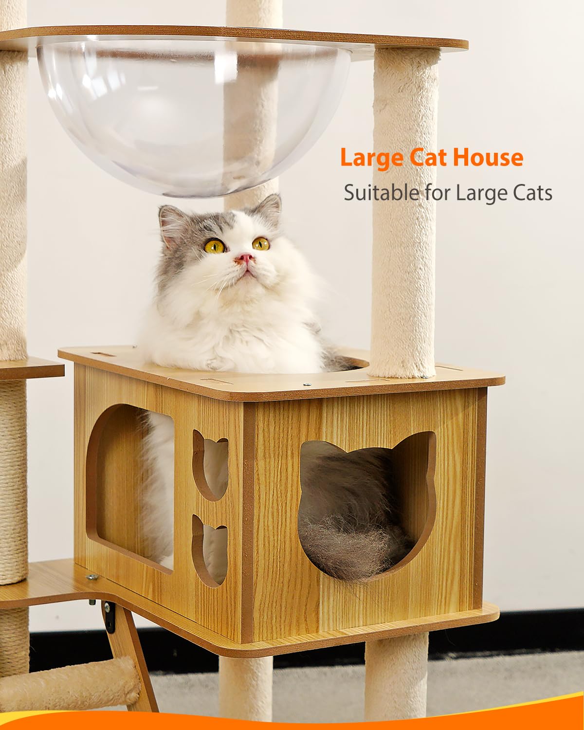 Yueyuesmart Modern Cat Tree with Acrylic Dome, 56 Inches Wooden Cat Tree No Carpet, Multi-Level Wood Cat Tower with Large Cat Condo, Round Top Perch, Scratching Post yuyuesmart