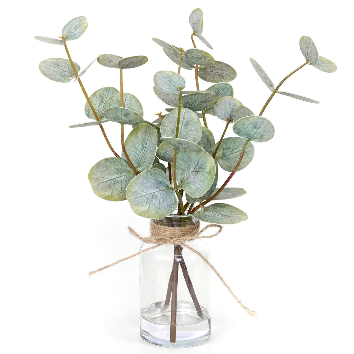 Muhanjia Artificial Eucalyptus Stems in Glass Vase with Faux Water,3Pcs Fake Plant with Double-Sided Green Leaves for Centerpiece(Double-Sided Green Eucalyptus) Muhanjia