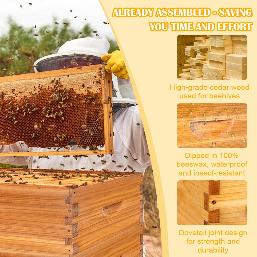 Honey Lake 8 Frame Assembled Bee Hive Super Box, Langstroth Beehive Starter Kit for Beekeepers, Medium Super Bee Box Dipped in 100% Beeswax Includes Beehive Frames and Waxed Foundations Honey Lake