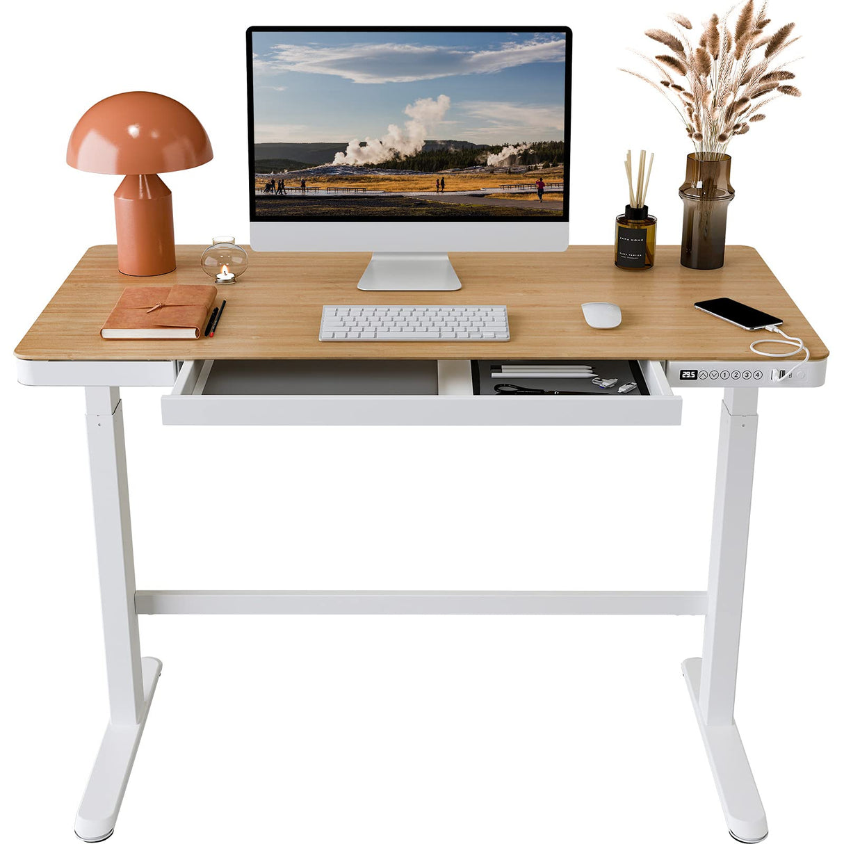 FLEXISPOT Electric Standing Desk with Drawer Storage Adjustable Height Quick Assembly Table w/USB Charge Ports, Child Lock (Natural Desktop + White Frame) FLEXISPOT