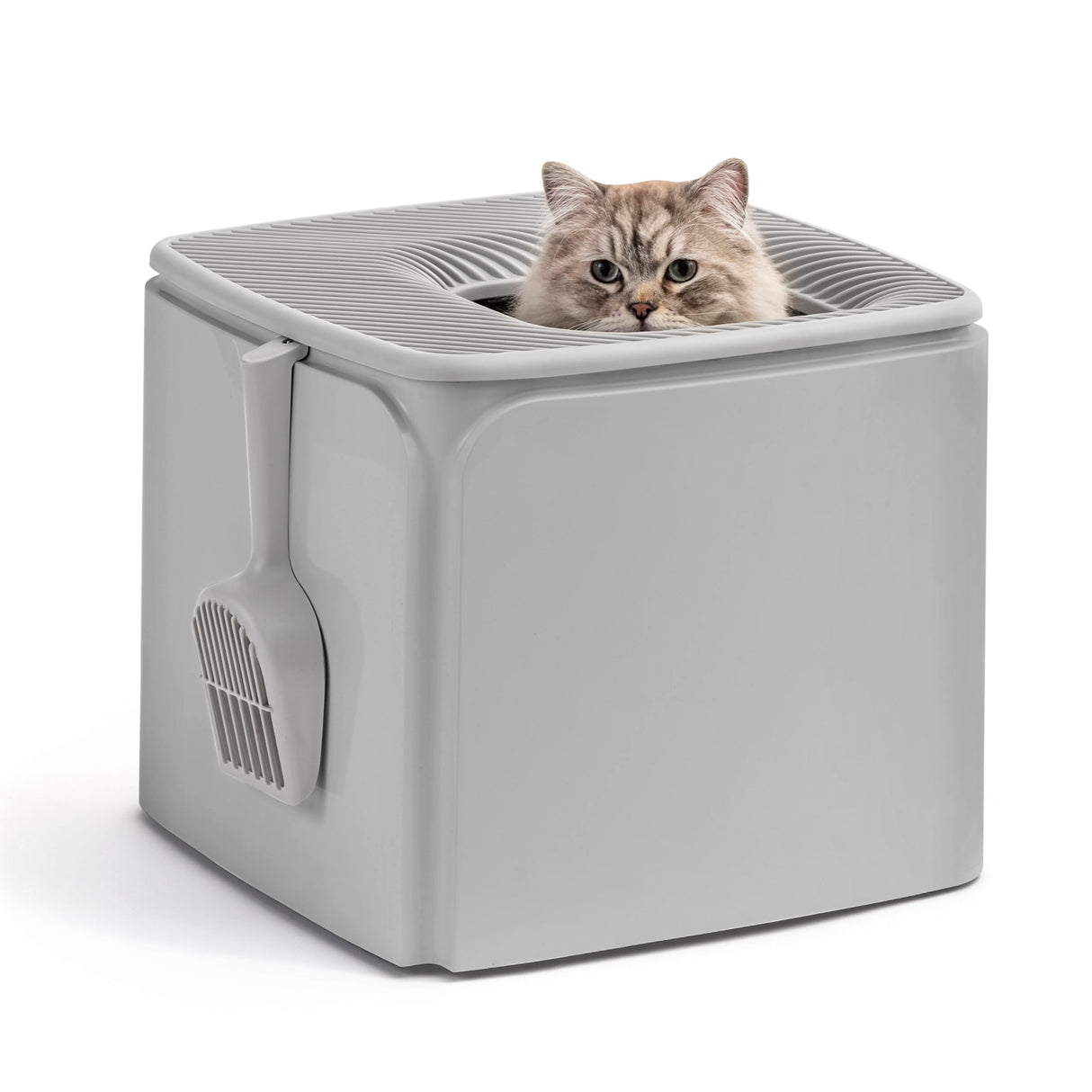 IRIS USA Premium Top Entry Cat Litter Box with Scoop, Square Enclosure for Cat and Kitty, Gray IRIS USA