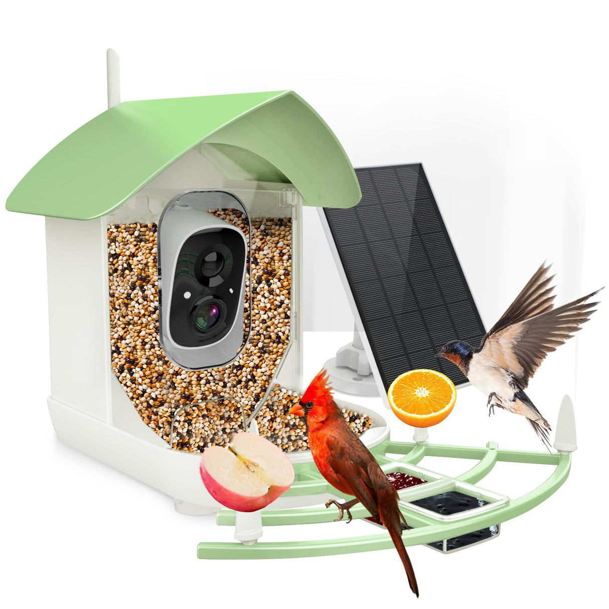 Fazoxo Bird Feeder with Camera, Smart AI Bird Breed Recognition, Birds Motion Detection with Real-Time Notice, Auto Capture Bird Watching WiFi Fazoxo