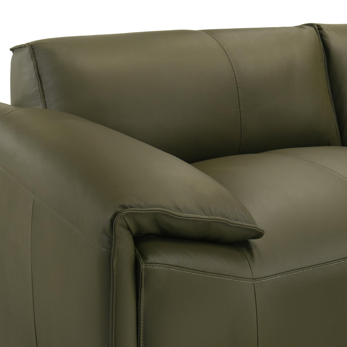 Tanner 74 in. Leather Loveseat with Padded Arms in Green or Khaki Armen Living