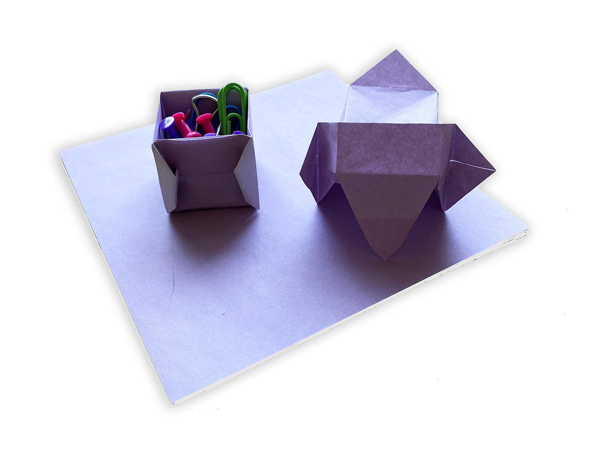 Origami Animal Boxes Kit: Cute Paper Models with Secret Compartments! (14 Animal Origami Models + 48 Folding Sheets) Tuttle Publishing