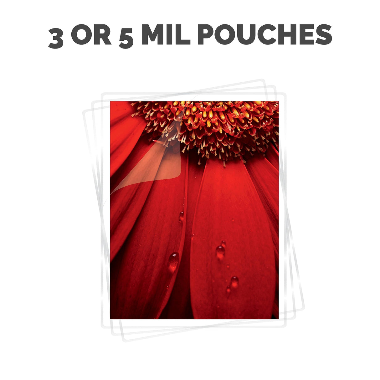 Fellowes Ion 95 Thermal Laminator for Home, School or Office with 15 Pouch Starter Kit, Easy to Use, Quick Warm-Up, Jam-Free (5247201) Fellowes