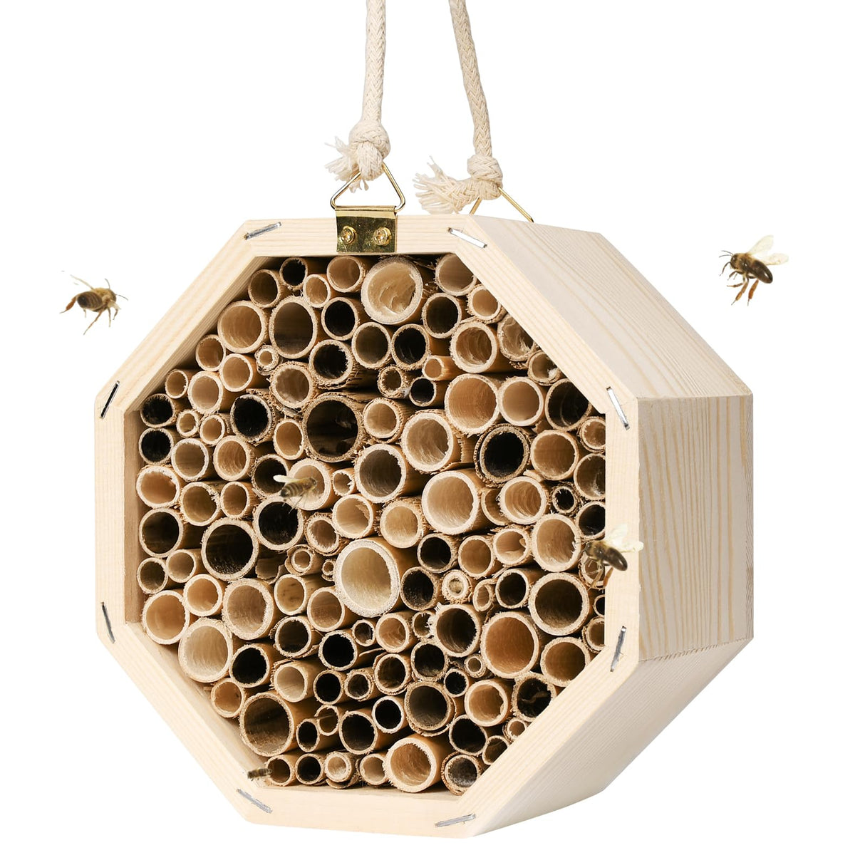 Mason Bee House,Hanging Bee Houses for The Garden, Pollinating Bee House Attracts Peaceful Bee,Insect Observation,Beekeeping Supplies Pumwoy