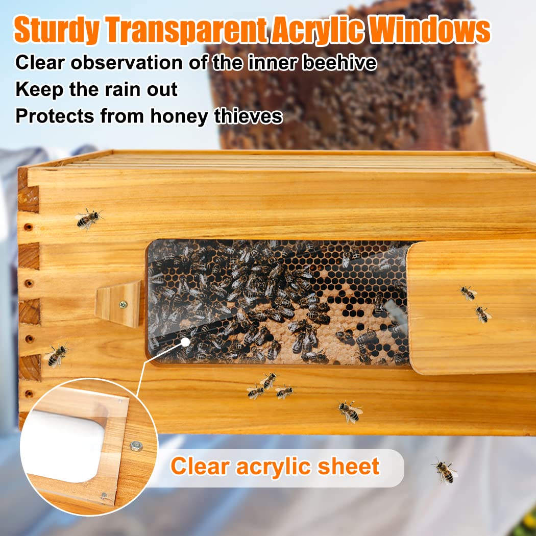 BeeCastle 10 Frame Deep Bee Hive Box, Langstroth Beehive Boxes Dipped in 100% Natural Beeswax with Window, Beehive Frames and Beeswaxed Foundations (Unassembled) BeeCastle