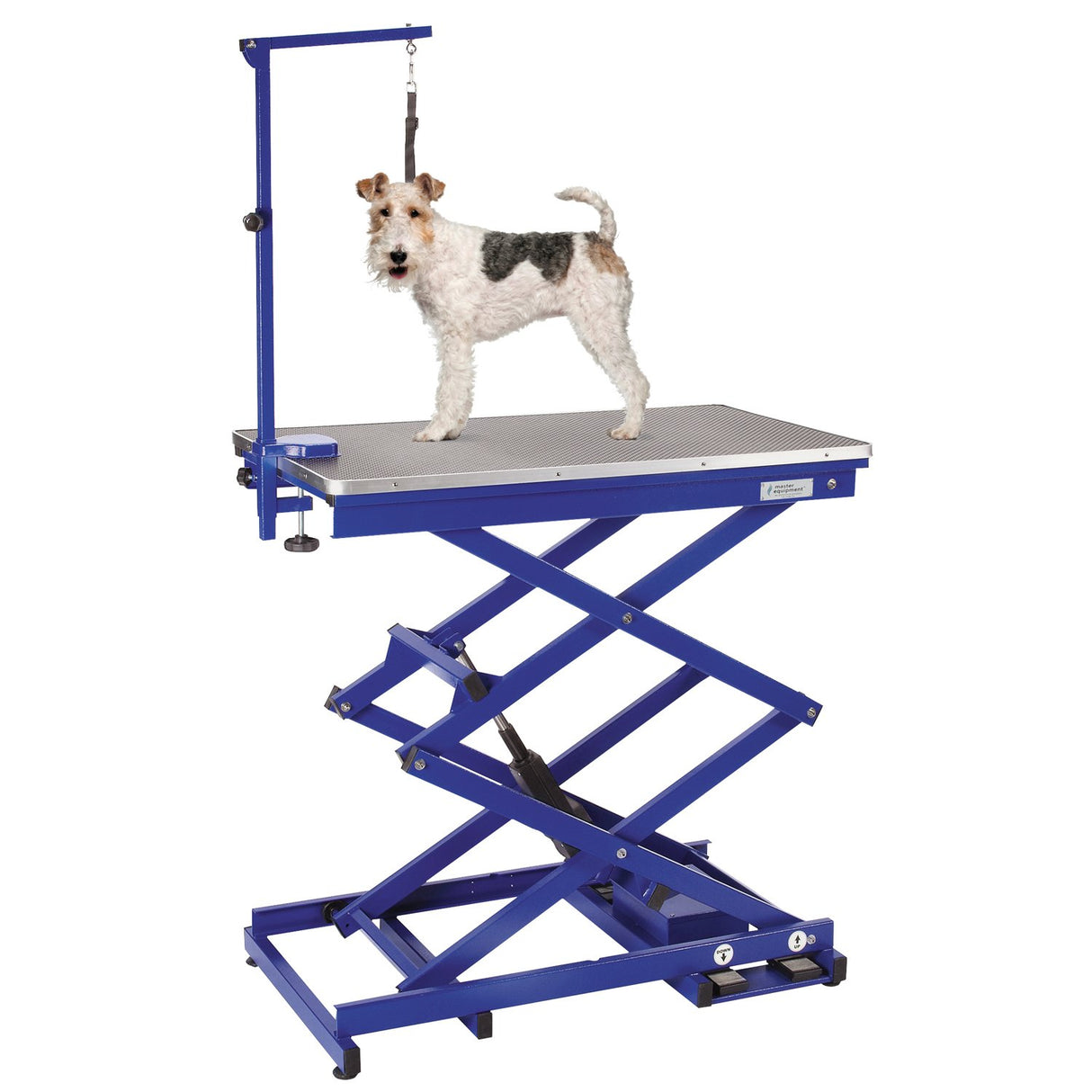 Master Equipment Master Equip Xtend Electric Grooming Table, Blue Master Equipment