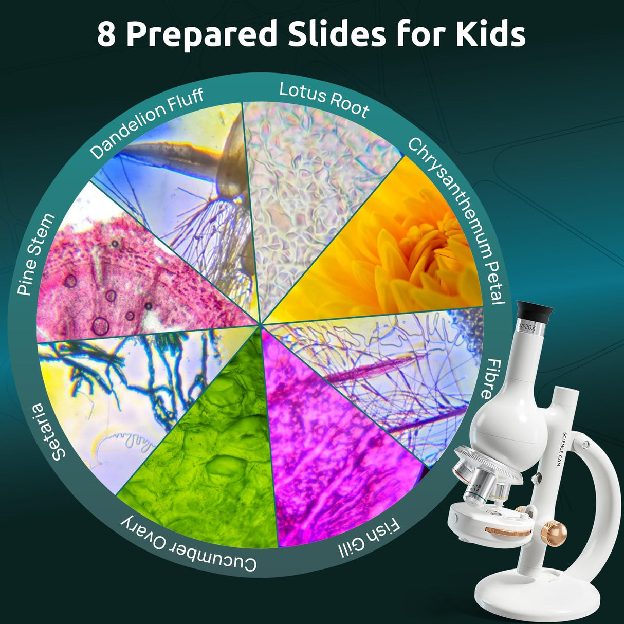 Science Can Microscope for Kids, 1600X Magnification LED Student Microscope with 8 Prepared Slides, Educational Science Lab Toy Great Birthday Gifts, Science Kits for Kids Ages 8-12 Science Can