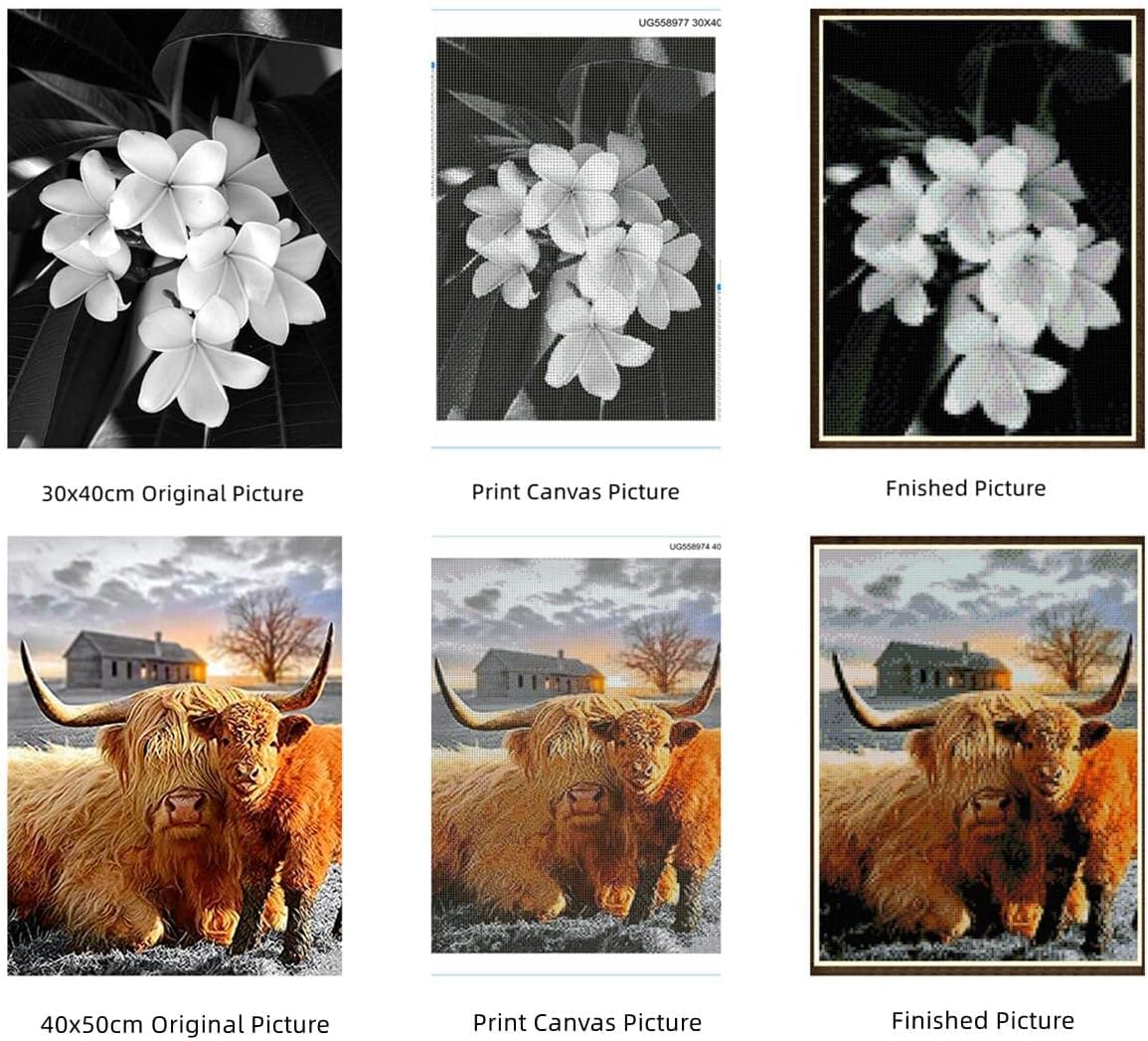 5D Diamond Art Painting Kits Beautiful Native American Woman Holding DIY Round Full Drill Diamond Paint by Diamond Number Kits for Beginners Crystal Cross Stitch Wall Decoration 30x40cm(3) WoodArtSupply