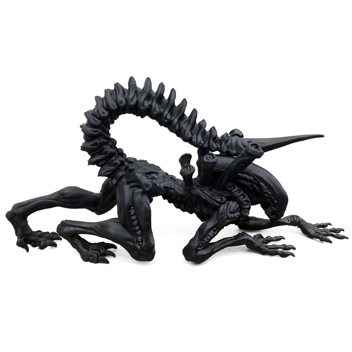 phrozen 3D Printer Water-Washable Rapid Black Resin, 405nm LCD UV-Curing Photopolymer Resin for High Precision Printing, Low Odor, Non-Brittle, Easy to Clean and Cure (1KG) phrozen