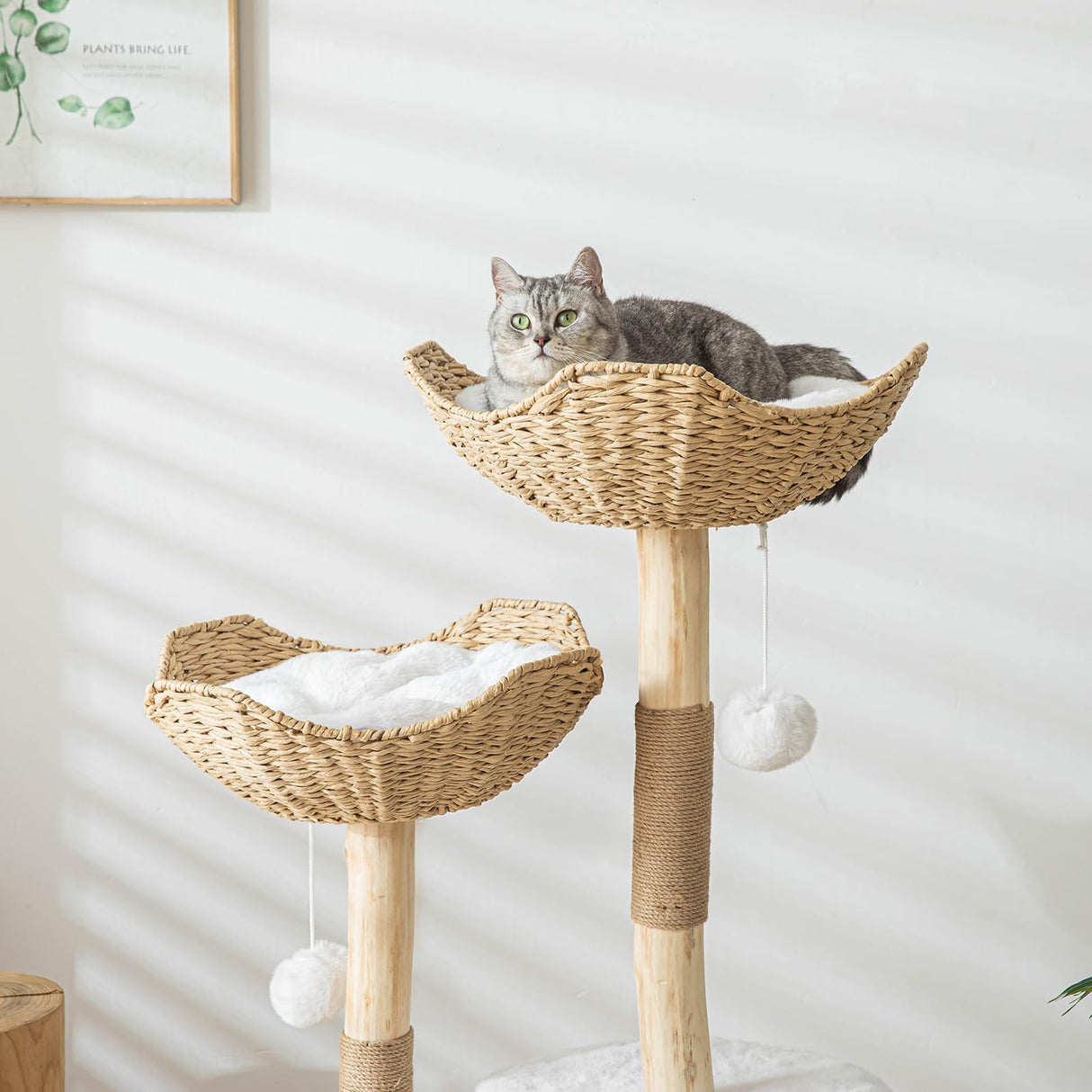 Modern Cat Tree for Indoor Cats Large Adult 46" Tall,Wooden Cat Tower for Large Cats with Scratching Post,Luxury Cat Condo, White. PISARRY