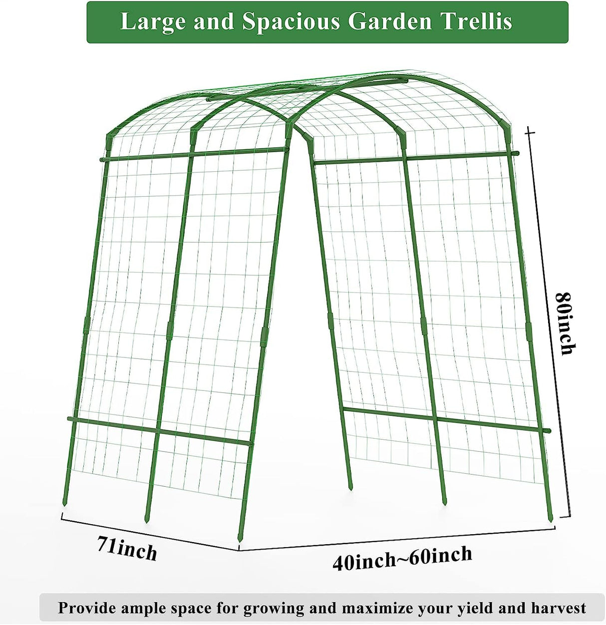 Large Garden Arch Trellis Tunnel Trellis for Climbing Plants Outdoor Vegetables Like Squash Cucumber and Grape Vilege