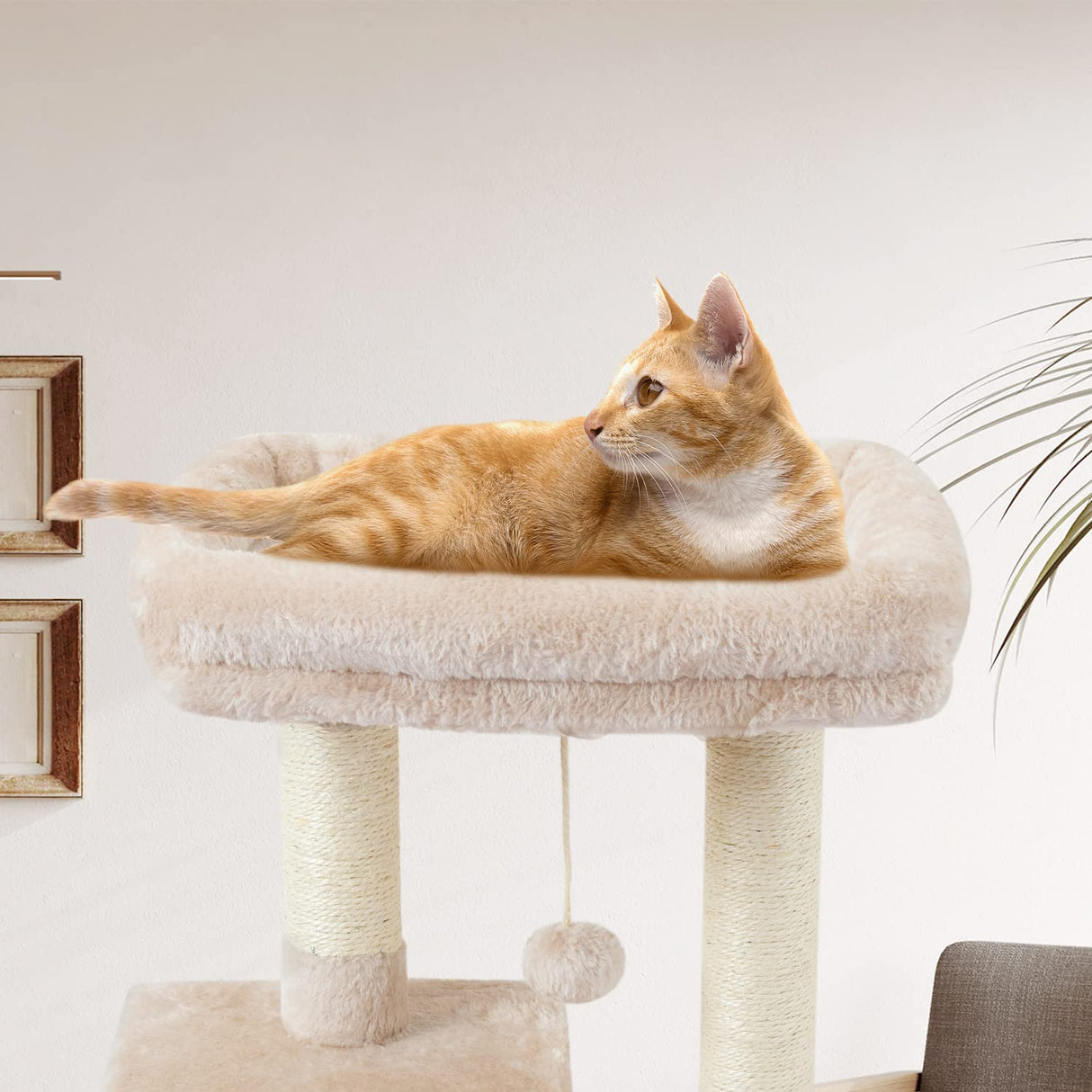 FISH&NAP Cute Cat Tree Kitten Cat Tower for Indoor Cat Condo Sisal Scratching Posts with Jump Platform Cat Furniture Activity Center Play House Beige FISH&NAP