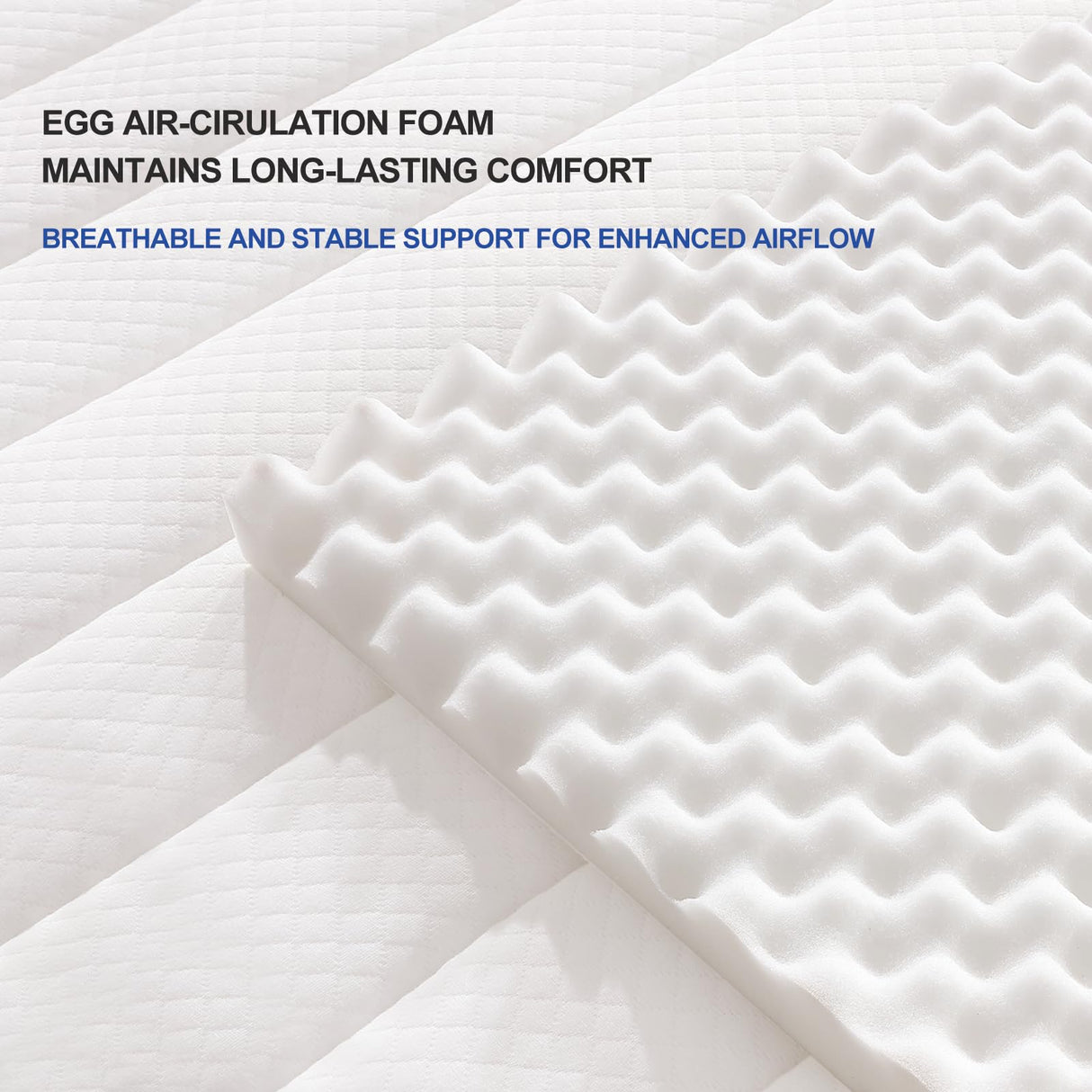 Hotkid,Queen Mattress,10 Inch High Density Foam Hybrid Mattresses in a Box with Individual Pocket Spring,Queen Size mattresses,Breathable Supportive and Pressure Relief,Guest and Kids Bedroom (Queen) Hotkid