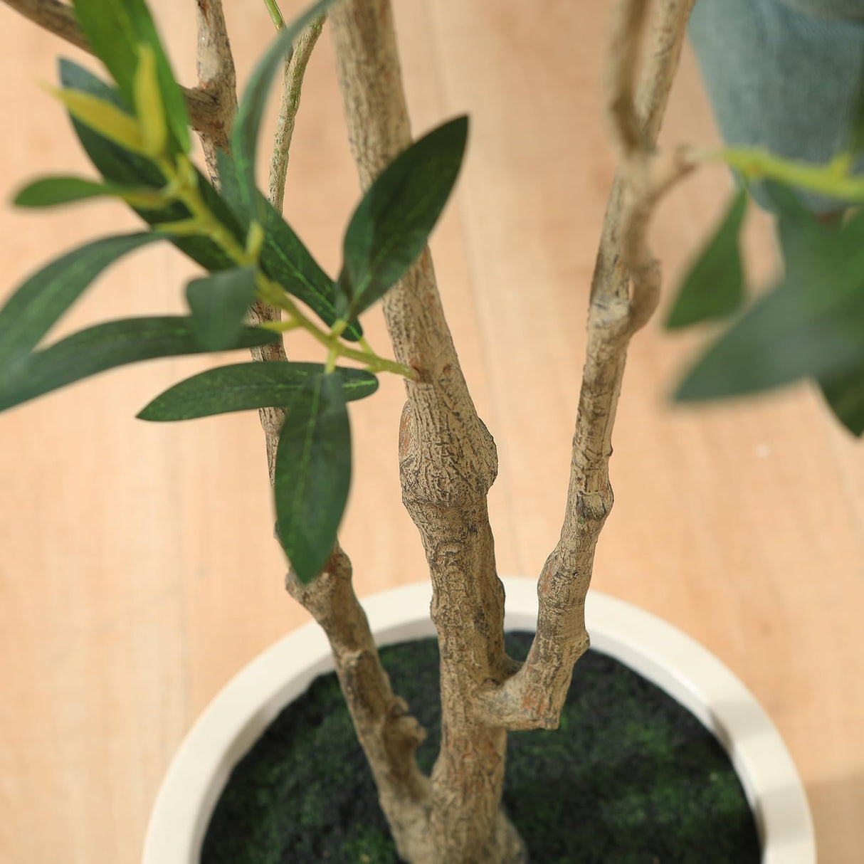 LOMANTO Artificial Olive Trees, 5 ft Tall Fake Olive Trees for Indoor, Faux Olive Silk Tree, Large Olive Plants with White Planter for Home Decor and Housewarming Gift, 1 Pack LOMANTO