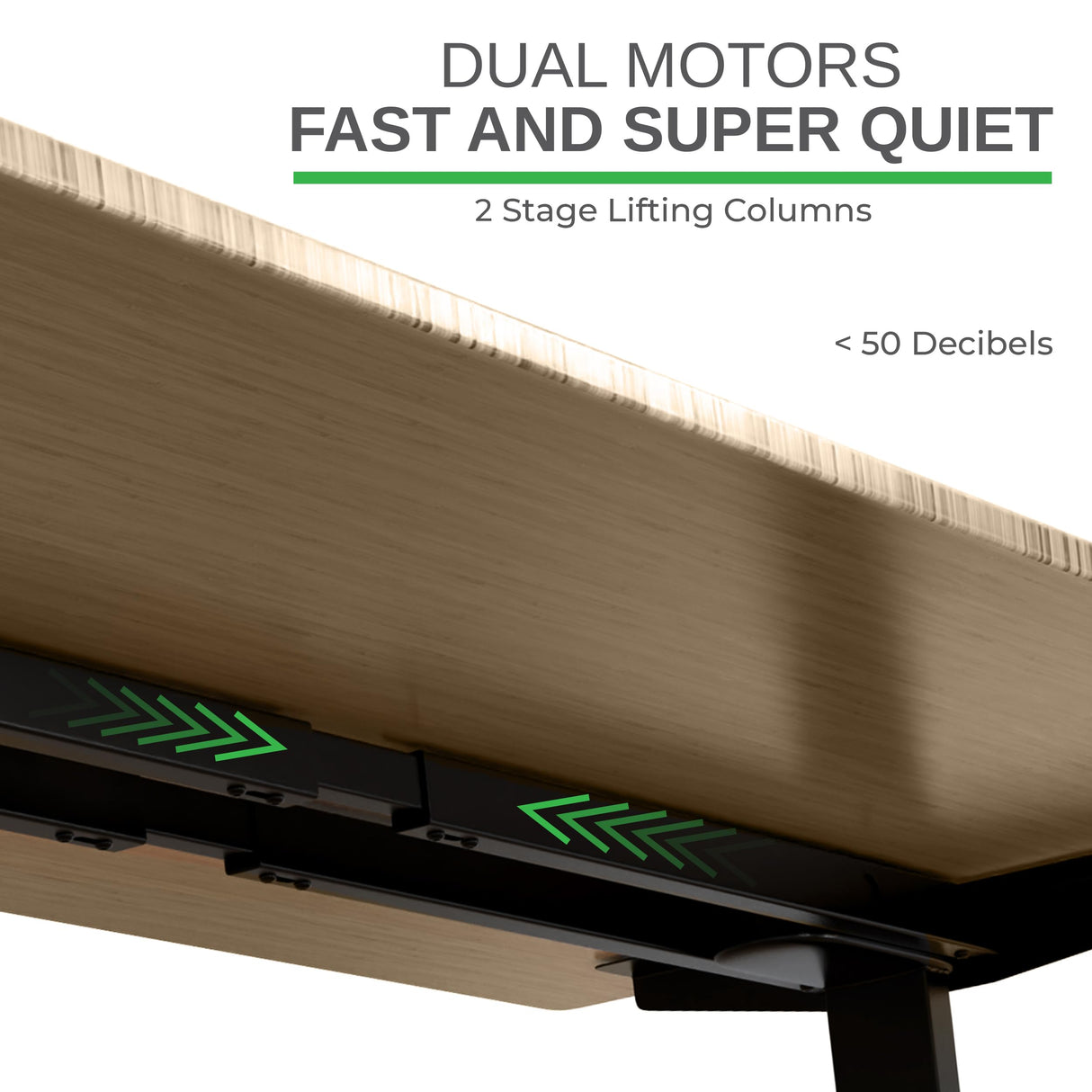 Rise Up Dual Motor Electric Standing Desk Adjustable Height Desk 60x30 Large Computer Standing Desk, Sit Stand Up Desk Raising Desk, Home Office Desk Uncaged Ergonomics