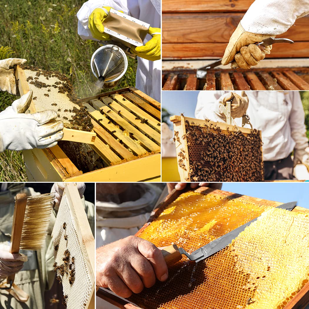 BeeCastle Beekeeping Supplies 22PCS Beekeeping Tools Kit, Bee Keeping Supplies-All Tools Kit Bee Keeping Starter Kit for Beginners and Professional Beekeepers BeeCastle