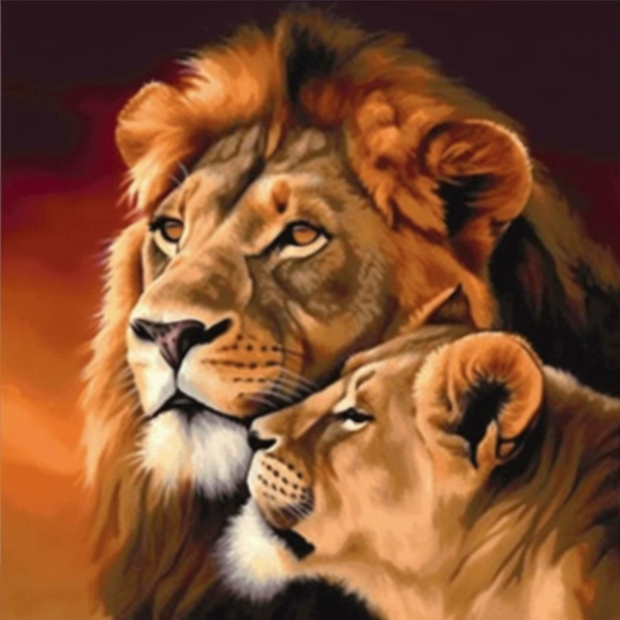 Bimkole 5D Diamond Painting Kits Lion Couple, Full Drill Beast DIY Rhinestone Embroidery Set Paint with Diamonds Art by Number Kits Cross Stitch Home Wall Craft Decoration (12x12inch) Bimkole