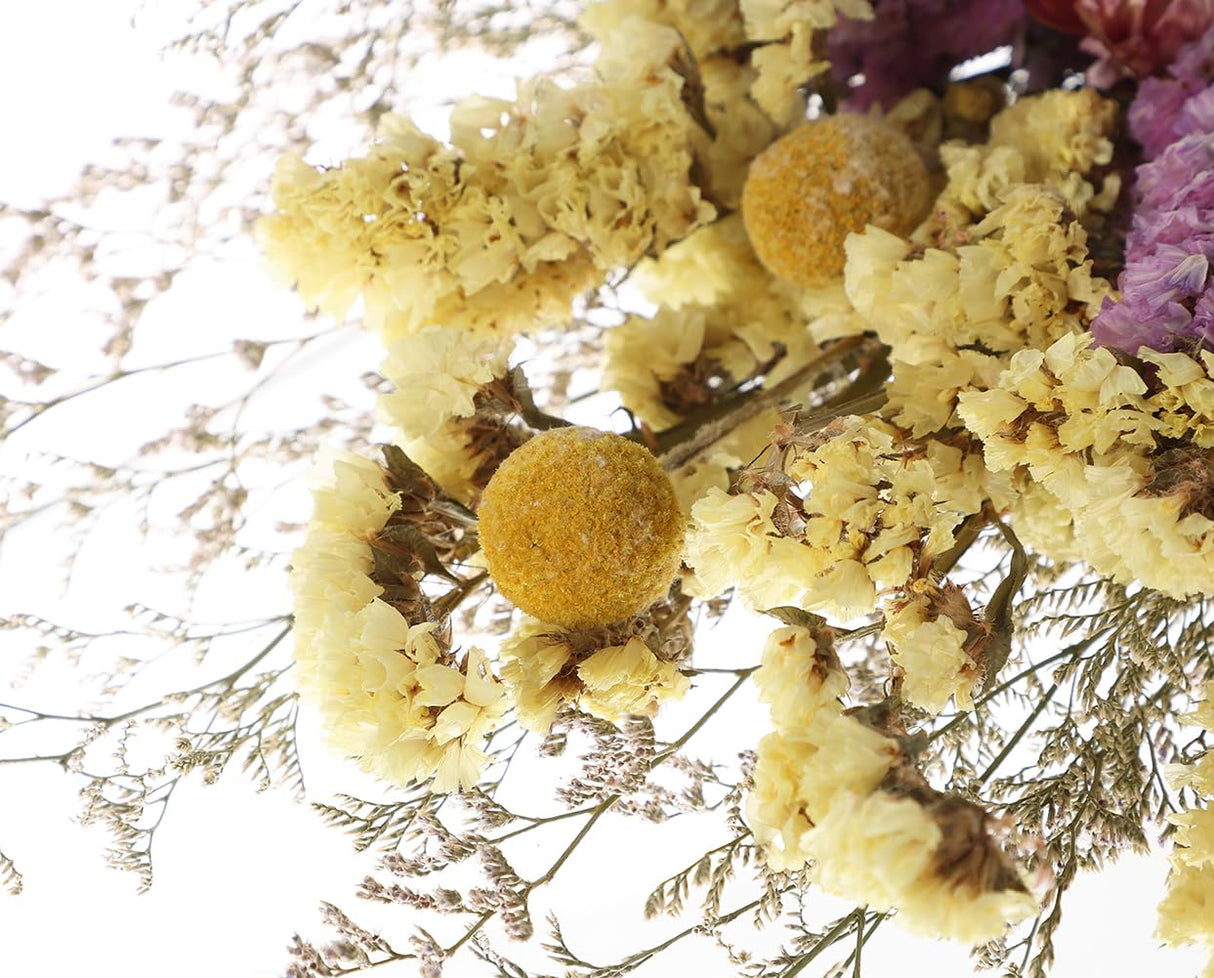 Botius 17" Natural Mixed Dried Flowers Bouquet Real Dried Lover Grass, Myosotis, Daisy, Craspedia Billy Balls Floral Arrangements for Boho Home Wedding Table Vase Décor Botius