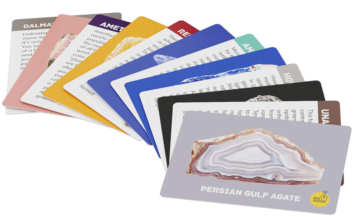 Dan&Darci Dig a Dozen Gem Blocks Mining Kit for Kids - Discover 12 Unique Real Gemstones, Mineral, Rock, Crystals Collection - Archaeology Science Gift Toys Set for Boys & Girls Age 8-12 Gifts Dan&Darci