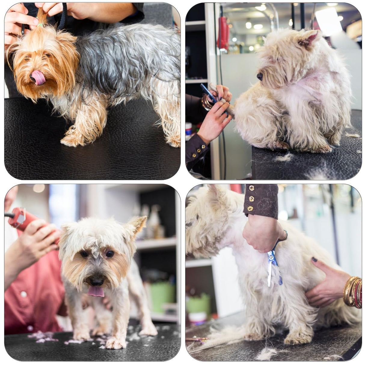 Yaheetech 32-inch Foldable Pet Dog Grooming Table with Adjustable Height Arm Drying Table for Home w/Noose for Small Dogs Cats Non-Slip Maximum Capacity Up to 220lbs Black Yaheetech