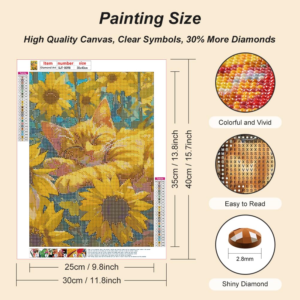 SJUTOUCI Orange Cat Diamond Art Painting Kits for Adults, Diamond Art Kits for Beginners, 5D DIY Full Drill Gem Craft for Home Decor Gift 12x16inch/30x40cm, Animal SJUTOUCI