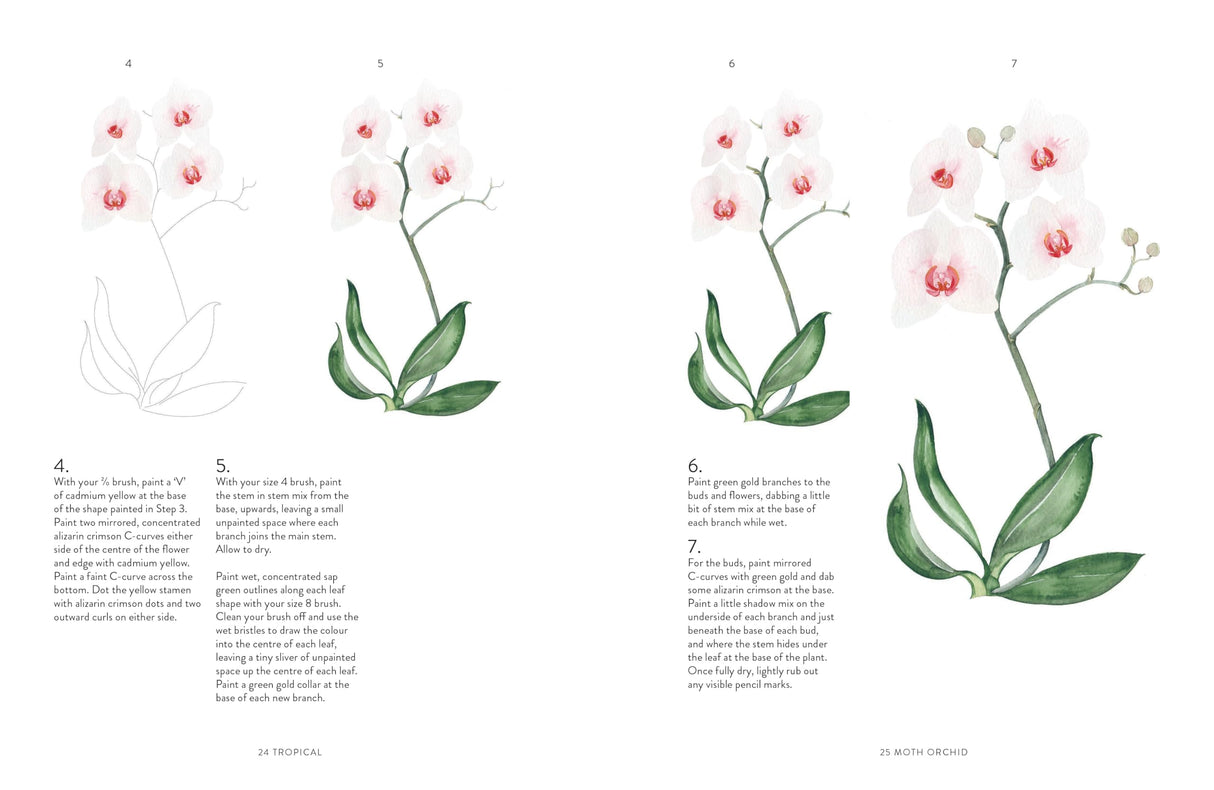 Birds, Bees & Blossoms: A Step-by-step Guide to Botanical and Animal Watercolour Painting Ilex Press