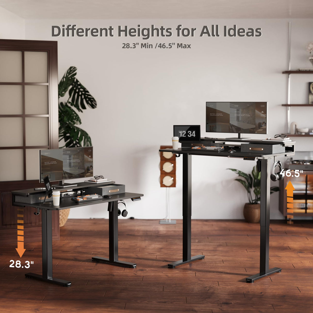 Seang Electric Standing Desk with 2 Drawers, Adjustable Standing Desk with Storage Shelf, Height Adjustable Stand up Desk for Home Office with 3 Presets & 2 Hooks,48 Inch, Black Seang