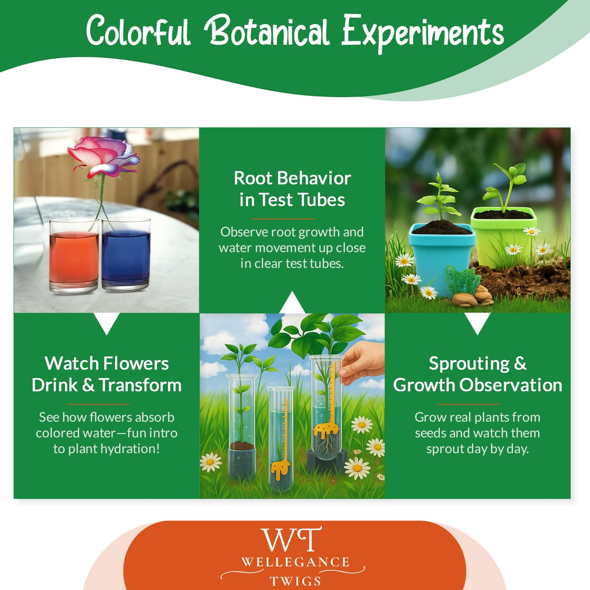STEM Plant Growing Kit for Kids Ages 8–12 | 19 Hands-On Science Experiments | Learn Transpiration, Hydroponics & More | Grow with Seeds from Your Kitchen | Perfect for School & Home Projects Wellegance Twigs