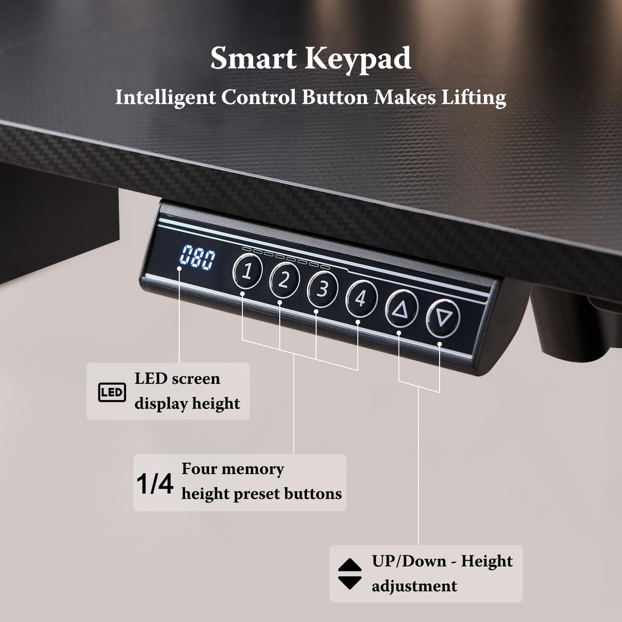 RedLemon 60Inch Gaming Desk, Electric Standing Desk with Height Adjustable, Power Outlets, LED Lights, Keyboard Tray, and Monitor Shelf, Stand Up Computer, Black RedLemon