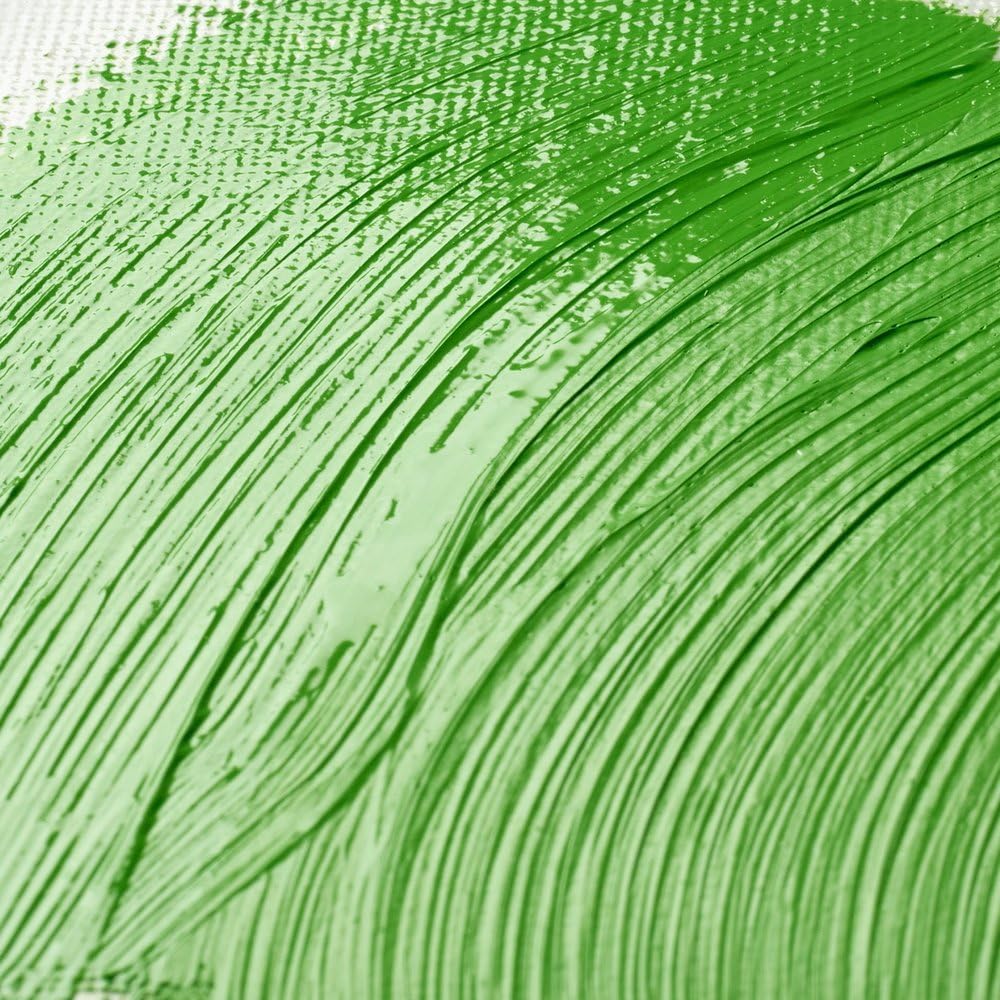 Winsor & Newton Professional Artists' Aerosols, Picture Varnish, Gloss, 400ml Winsor & Newton