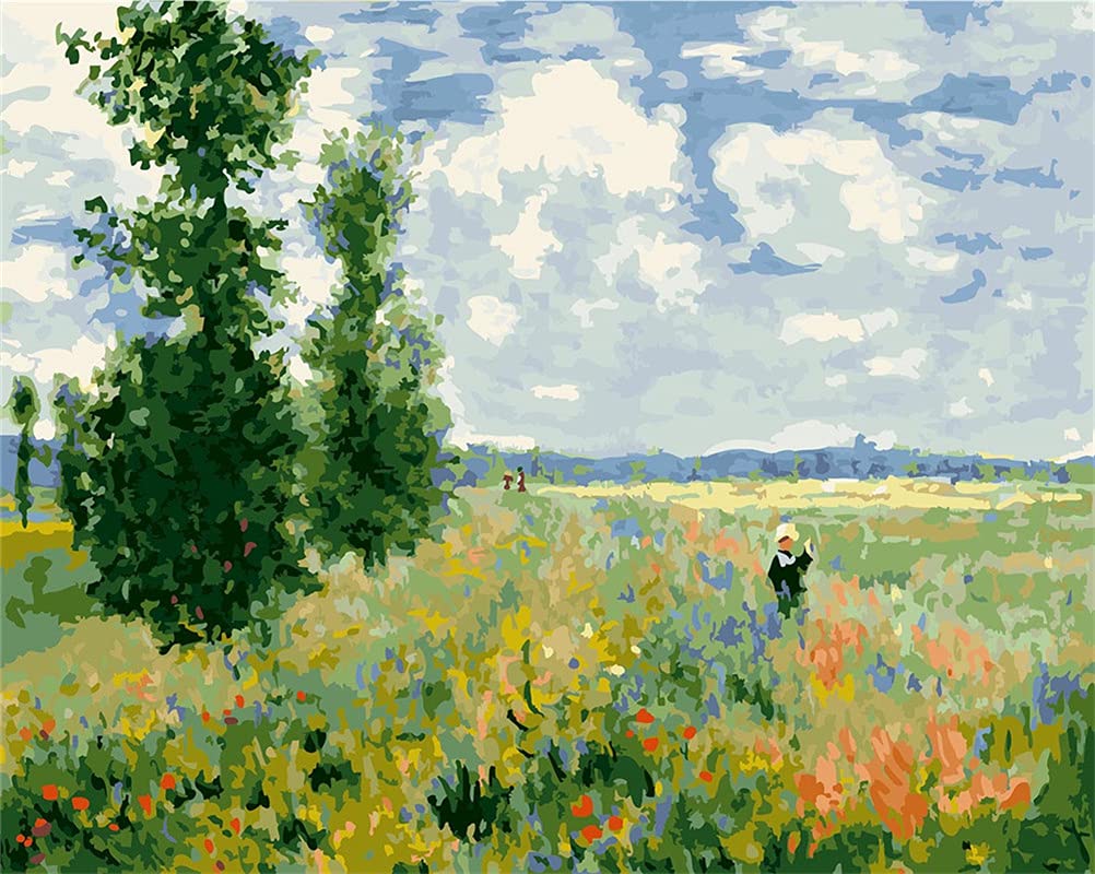 Meecaa Paint by Numbers Poppy Landscape Kit for Adults Beginner DIY Oil Painting 16x20 inch (Poppy Field, No Frame) WoodArtSupply