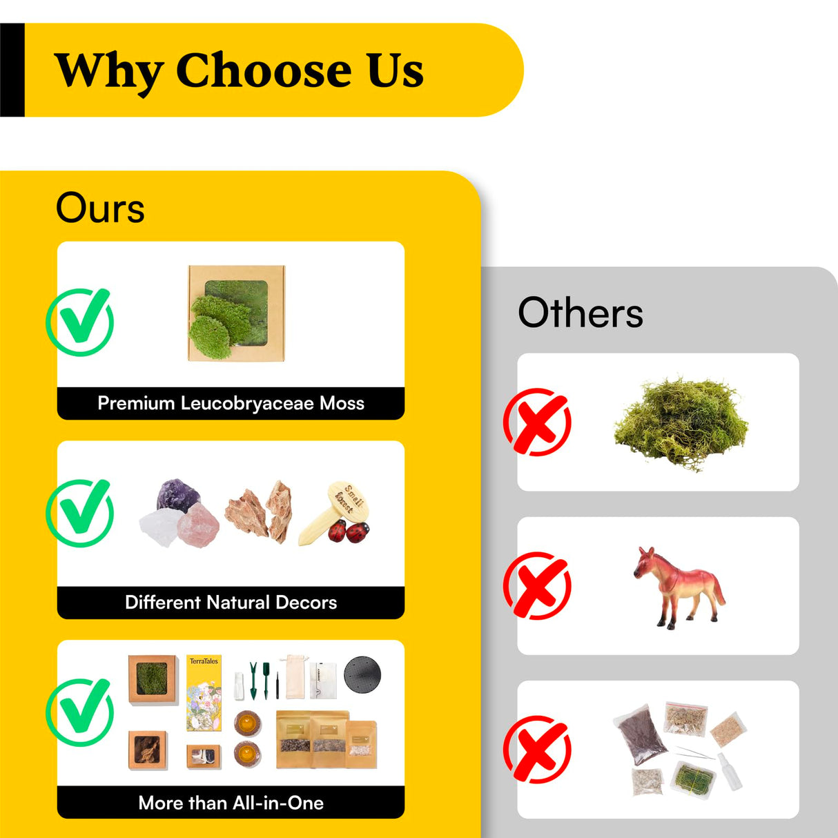 DIY Crystal Terrarium Kit– All-in-One Starter Kit with Moss, Pumice, Crystals, Coconut Coir, Gardening Tools & Decor | Healing Gift for Stress Relief | Plants & Crystal Lovers | Desk & Office Decor Terra Tales