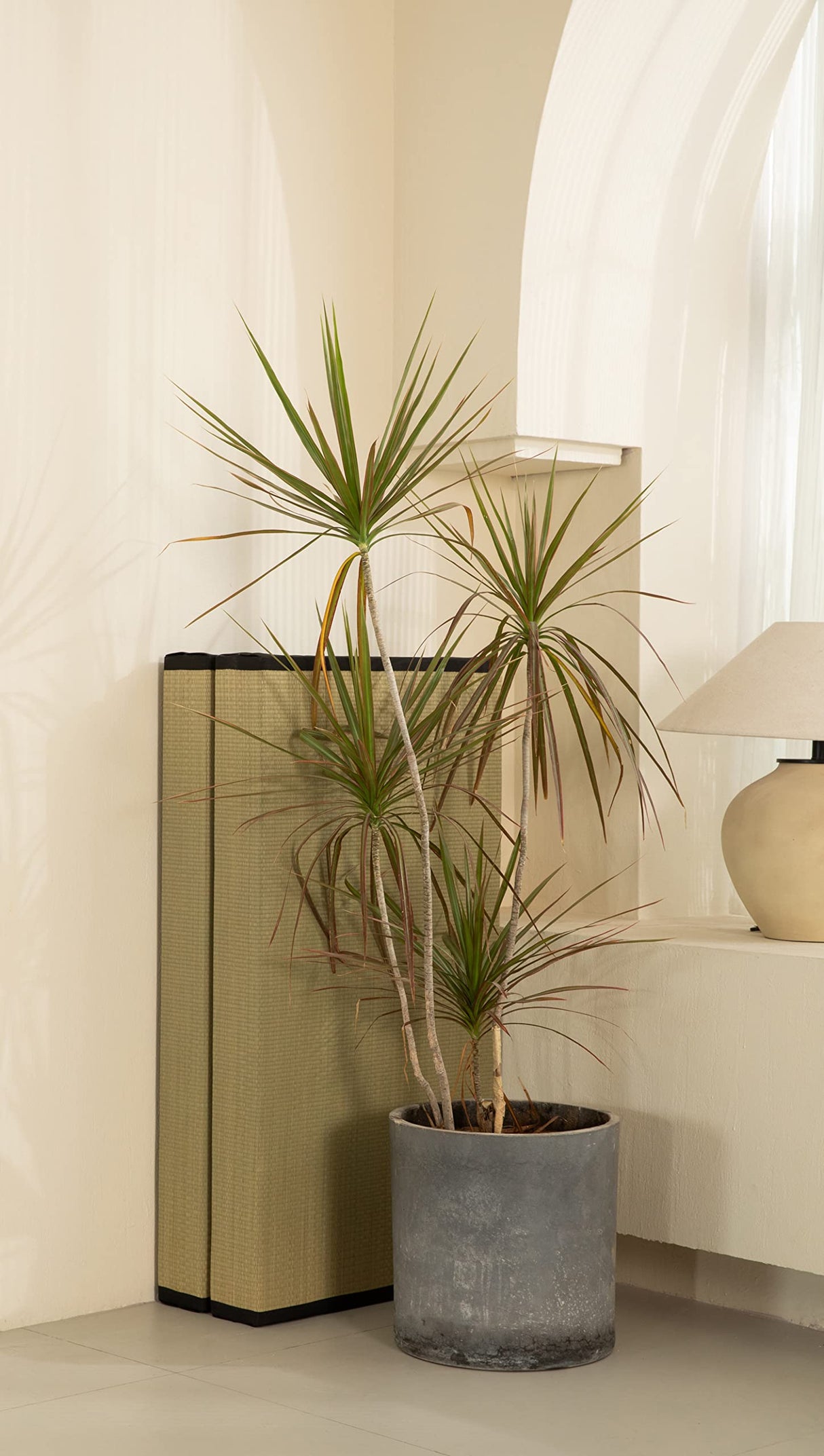 MustMat Thick Tatami Mat Twin XL Floor Mattress Japanese Tatami Bed with Storage Bag 39 x 80 x 2 in (Black) MustMat