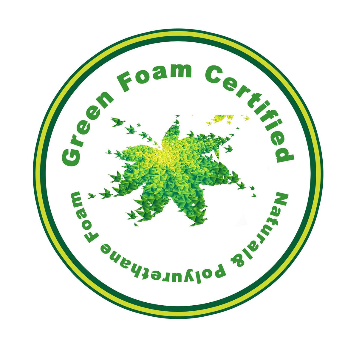 HomeLife 6-Inch Twin Mattress with Euro Top – Firm Support, Gel Memory Foam, and Pocketed Coils for a Cool, Comfortable Sleep HomeLife