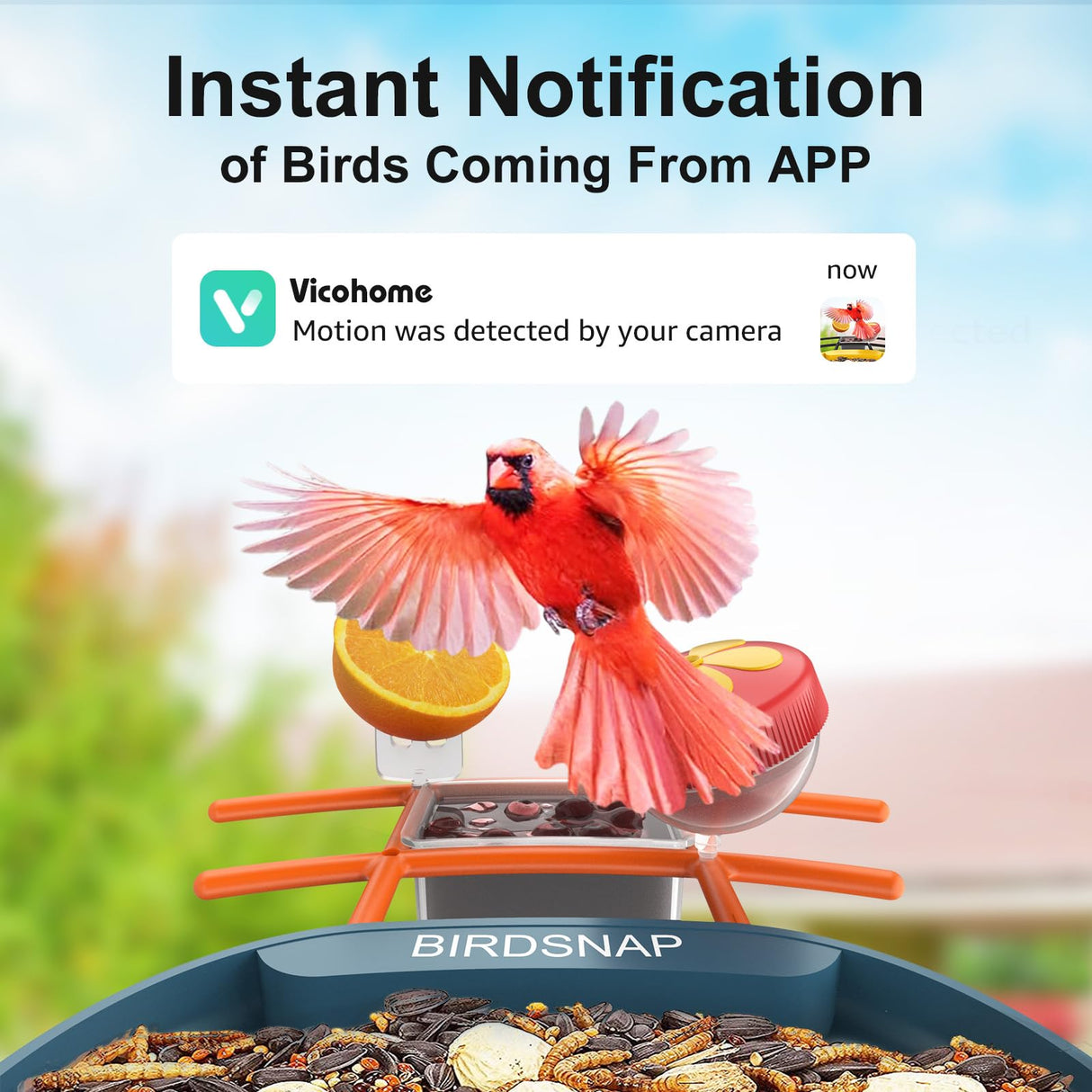 Smart Bird Feeder with Camera, 5 DIY Add-ons & 64G SD Card Auto Record Bird Video Bird House for Outside, AI Identify Bird Species Auto Capture with birdsnap