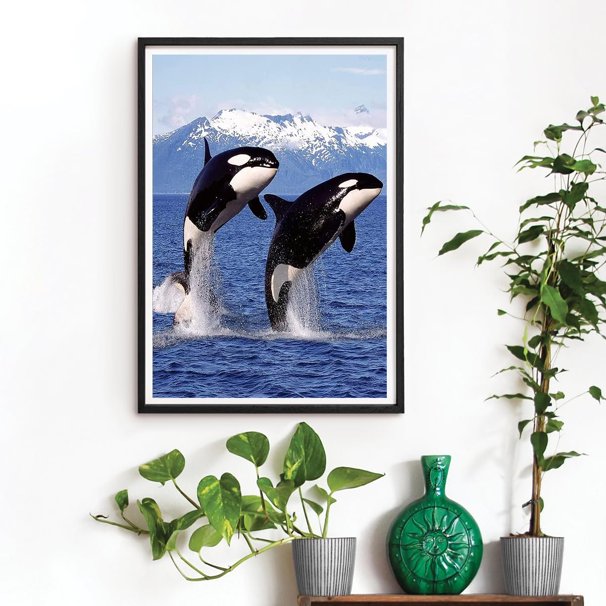 DVWIVGY Diamond Painting Killer Whale Orca Blue Ocean Animals Diamond Art Painting by Number Kits Gem Art Wall Home Decor 12 x 16 inch DVWIVGY