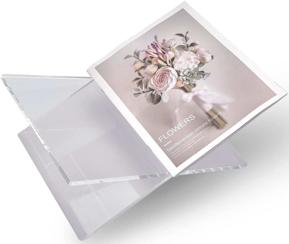 Honygebia Clear Acrylic Book Stands - Cross Frame Acrylic Book Holder, Open Bookstand for Display and Reading, Suitable for Art, Bible, Cookbook, Easel, Magazine, Textbooks 12.5" x 9.5" x 5.5" Honygebia