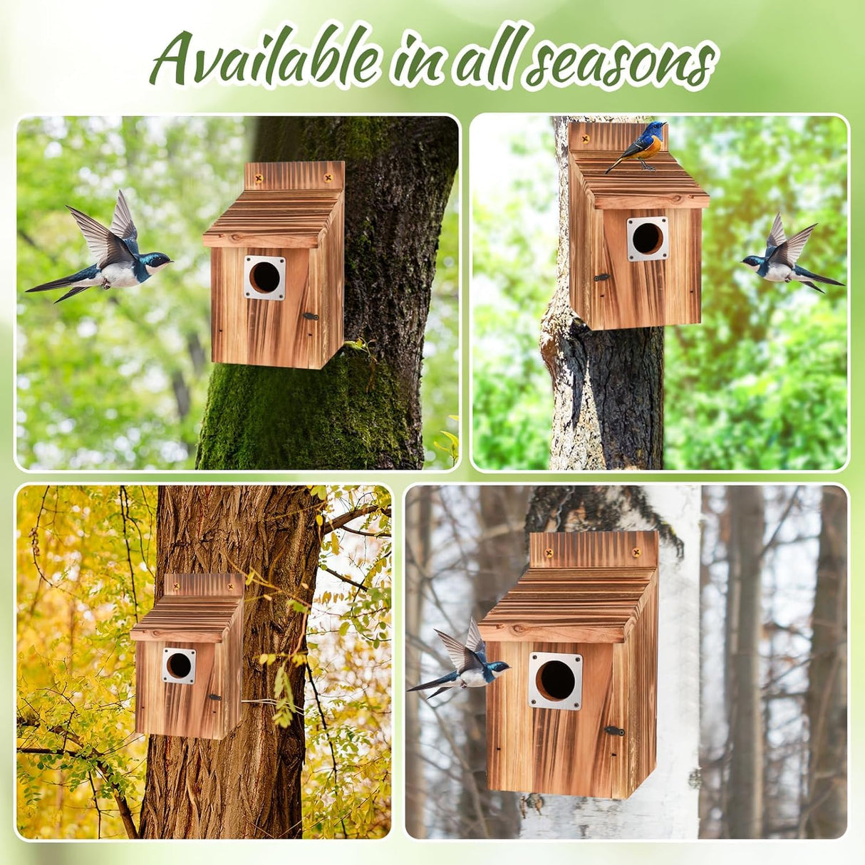 4-Piece Outdoor Bird House Set, Bird Houses for Outside with Metal Guards, Safety Locks, Flight Slots, & Ventilation, Bluebird Houses with 1-1/2" Entrance for Bluebirds, Wrens, Finches JZTKQTM