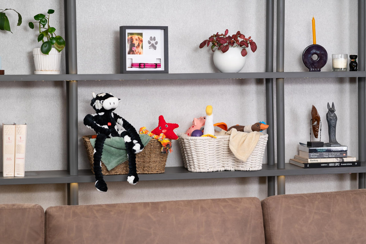 OtterPets Memorial Picture Frame, 4 Customizable Displays, 9x9, Paw Print Kit for Dogs, Dog Memorial Gifts for Loss of Dog, Loss of Pet Sympathy Gift, Pet Paw Print Impression Kit OtterPets