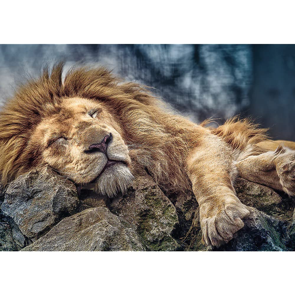Trefl Sleeping Lion 1000 Piece Jigsaw Puzzle Red 27"x19" Print, DIY Puzzle, Creative Fun, Classic Puzzle for Adults and Children from 12 Years Old Trefl