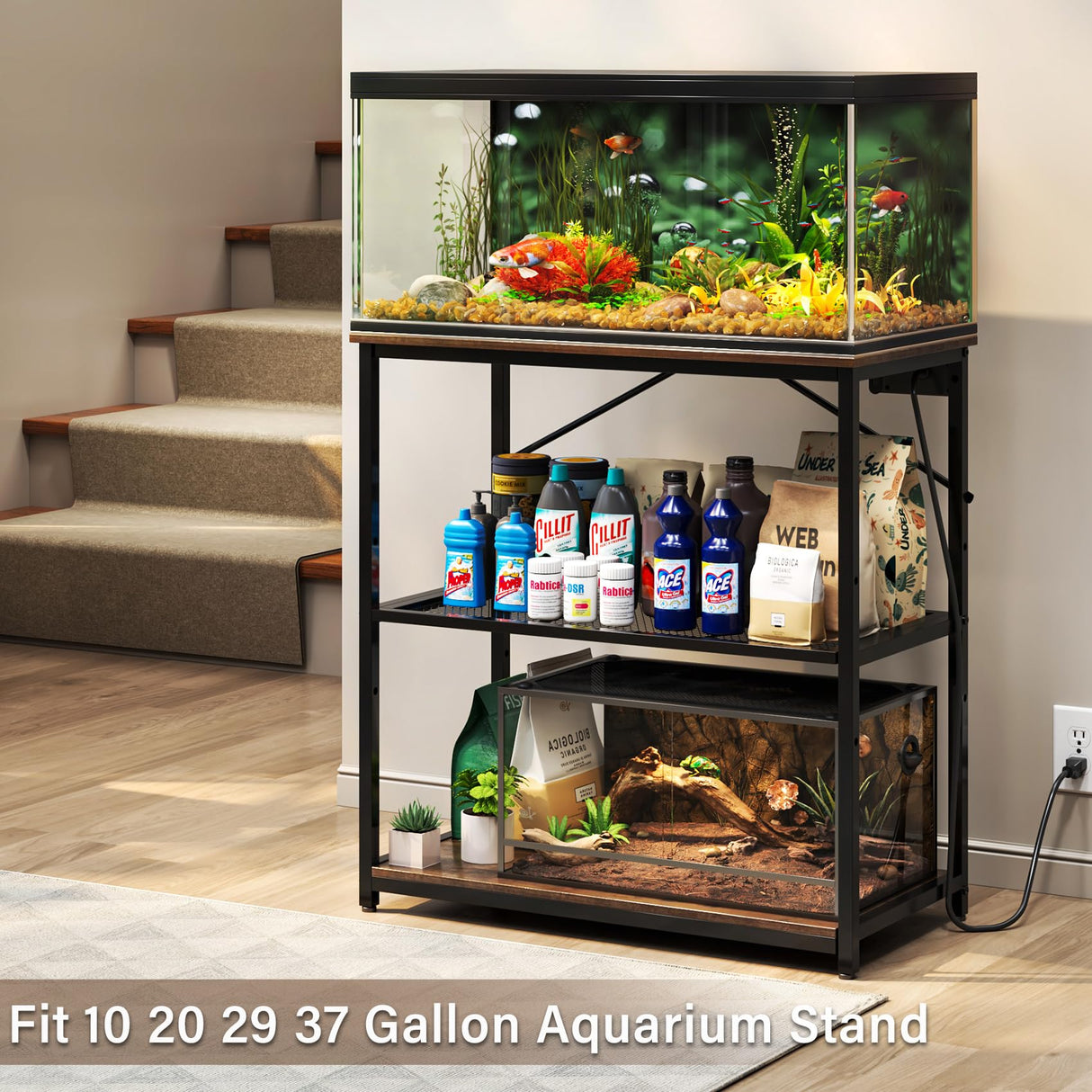 TC-HOMENY Fish Tank Stand 10,20,29,37 Gallon, Aquarium Stand with adjustable shelf,1000LB Capacity ,31" L x 16" W Metal Reptile Tank Stand, Double Storage Design Adjustable Boards, Brown TC-HOMENY